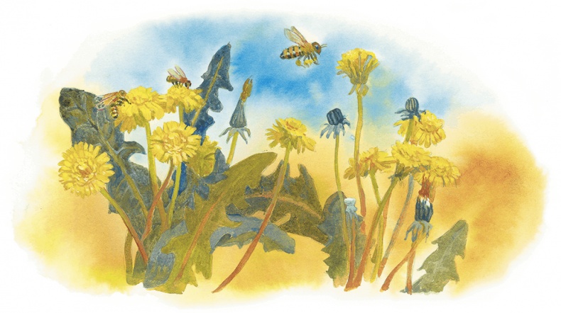 Жук на ниточке Жук на ниточке