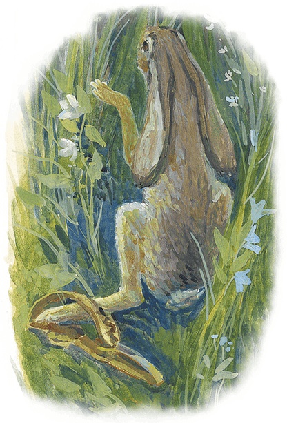 Жук на ниточке Жук на ниточке