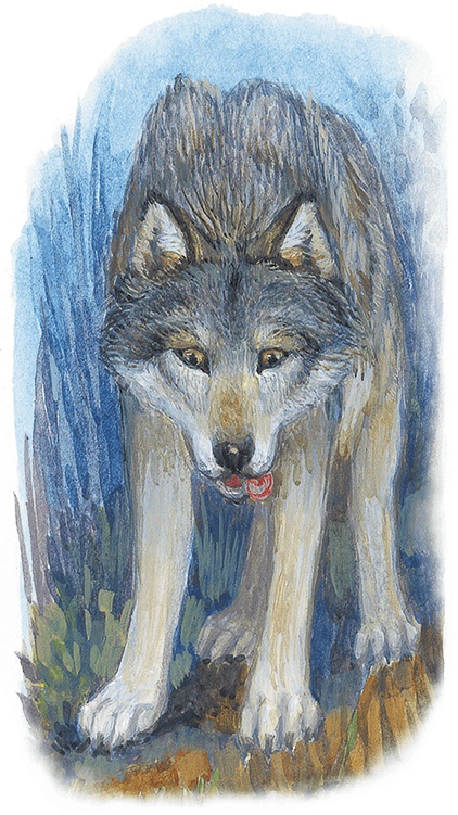 Жук на ниточке Жук на ниточке