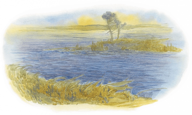 Жук на ниточке Жук на ниточке