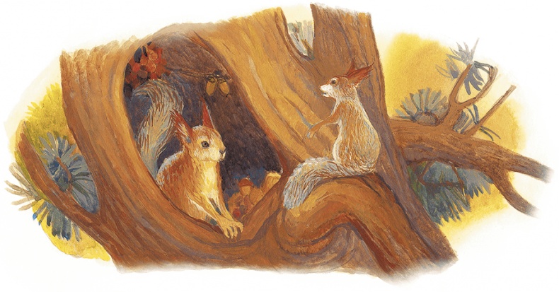 Жук на ниточке Жук на ниточке