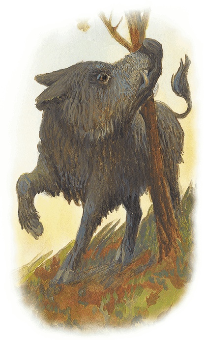 Жук на ниточке Жук на ниточке