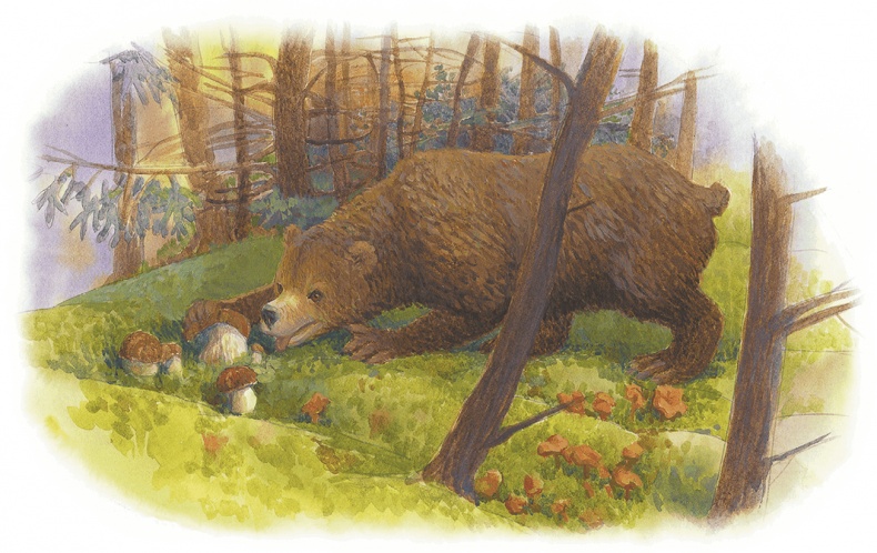 Жук на ниточке Жук на ниточке