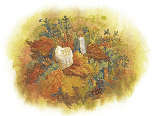 Жук на ниточке Жук на ниточке