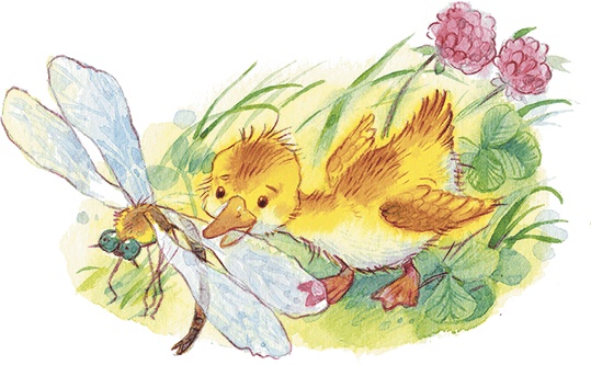 Храбрый утенок Храбрый утенок