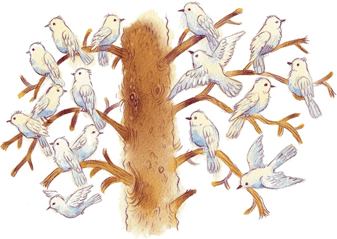 Храбрый утенок Храбрый утенок