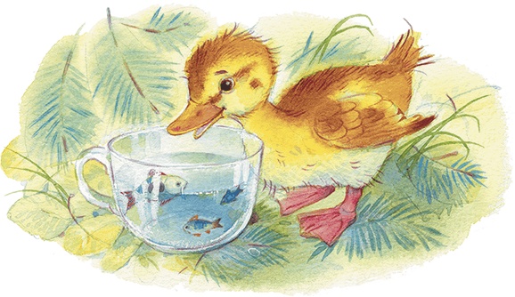 Храбрый утенок Храбрый утенок