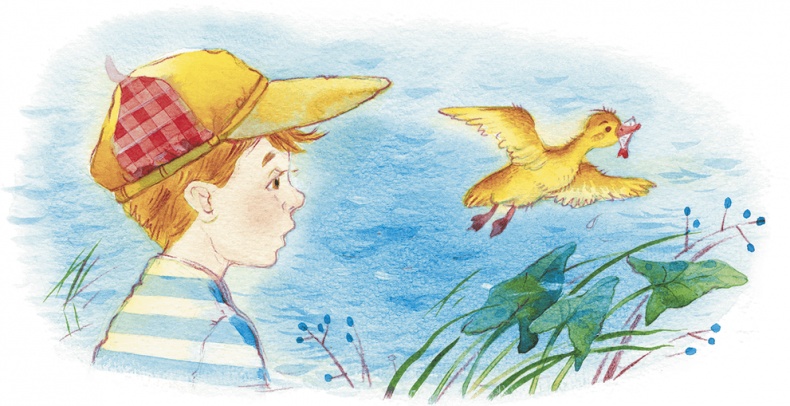 Храбрый утенок Храбрый утенок