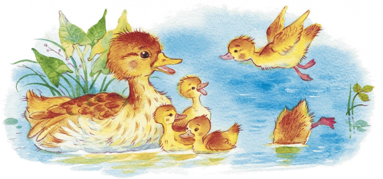 Храбрый утенок Храбрый утенок