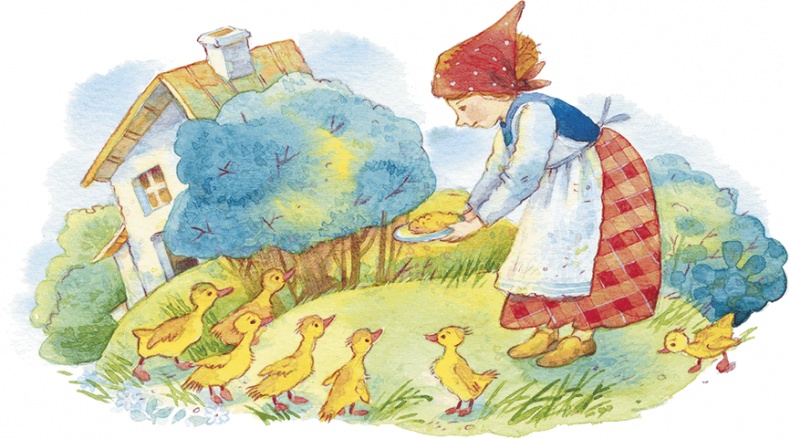 Храбрый утенок Храбрый утенок