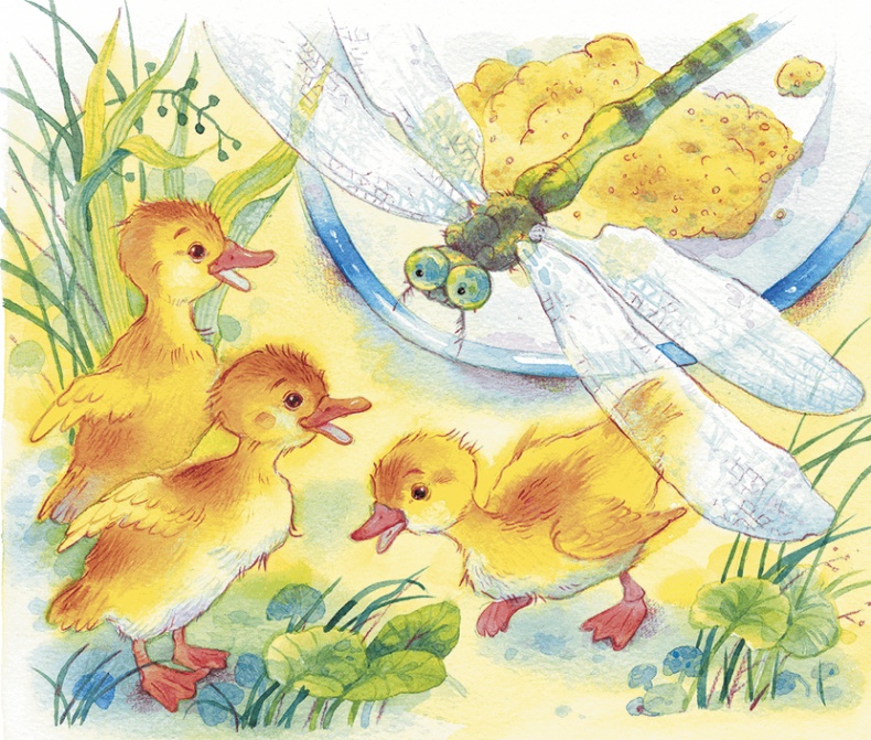 Храбрый утенок Храбрый утенок