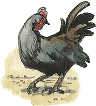 Лисичкин хлеб Лисичкин хлеб