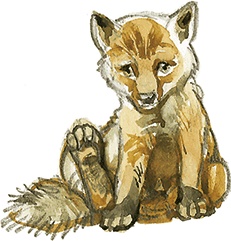 Лисичкин хлеб Лисичкин хлеб