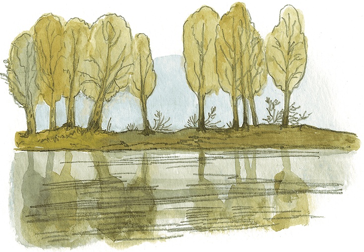 Лисичкин хлеб Лисичкин хлеб