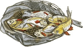 Лисичкин хлеб Лисичкин хлеб