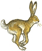 Лисичкин хлеб Лисичкин хлеб