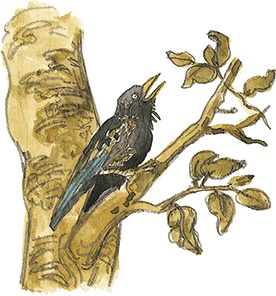 Лисичкин хлеб Лисичкин хлеб