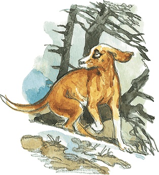 Лисичкин хлеб Лисичкин хлеб