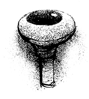 Путешествие на Тандадрику