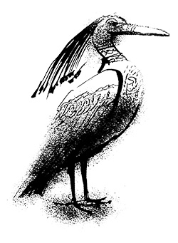 Путешествие на Тандадрику Путешествие на Тандадрику