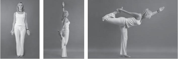 Йога для стройности, здоровья и красоты Йога для стройности, здоровья и красоты