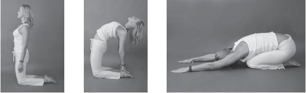 Йога для стройности, здоровья и красоты