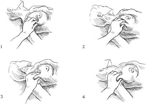 Аэробика для груди Аэробика для груди