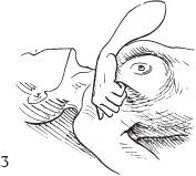 Аэробика для груди Аэробика для груди