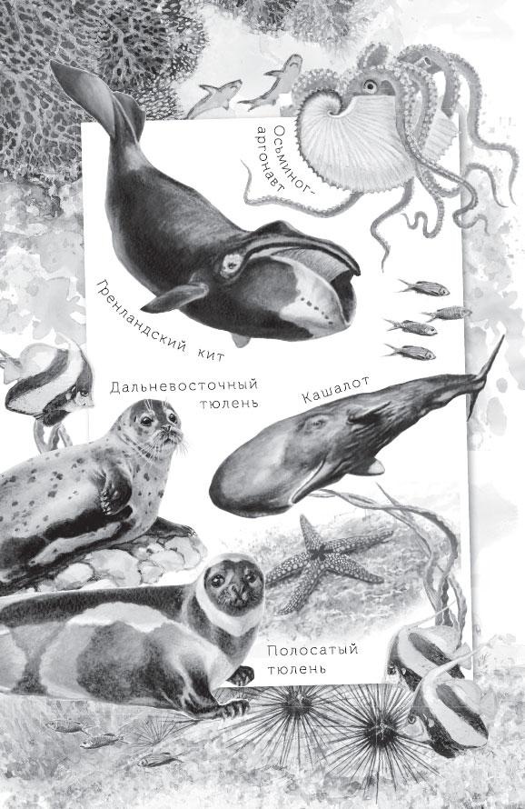 Живые домики. С вопросами и ответами для почемучек Живые домики. С вопросами и ответами для почемучек