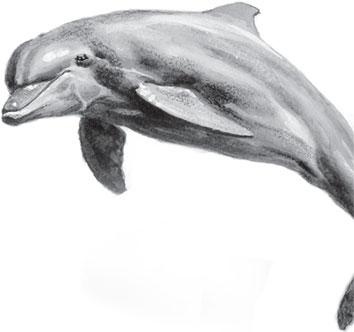 Живые домики. С вопросами и ответами для почемучек Живые домики. С вопросами и ответами для почемучек