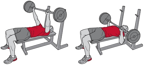 Библия велосипедиста