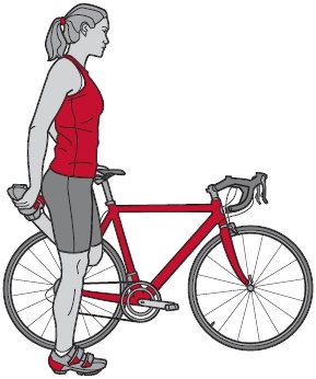 Библия велосипедиста Библия велосипедиста