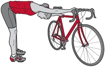 Библия велосипедиста Библия велосипедиста