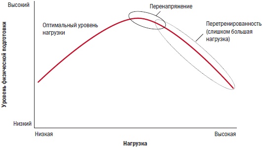 Библия велосипедиста Библия велосипедиста