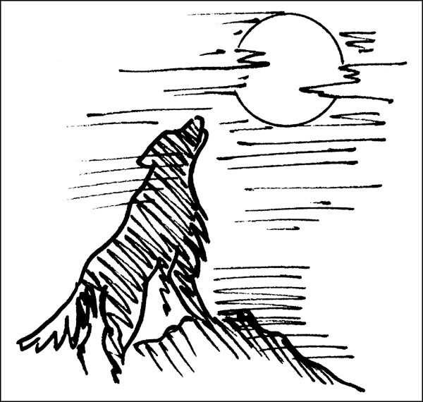 Биоритмы для здоровья. Как улучшить свое состояние по биологическим часам