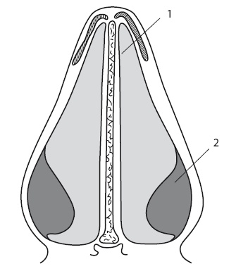 Насморк. Как вылечить быстро и эффективно Насморк. Как вылечить быстро и эффективно