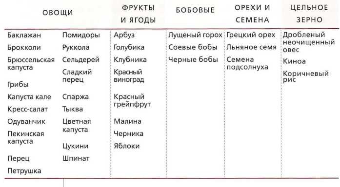 Книга о теле Книга о теле