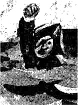 Самые веселые завийральные истории Самые веселые завийральные истории