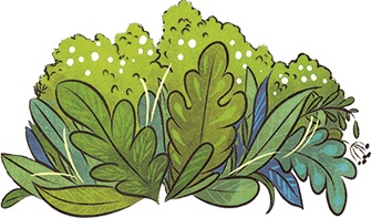 Леська и людоед Леська и людоед