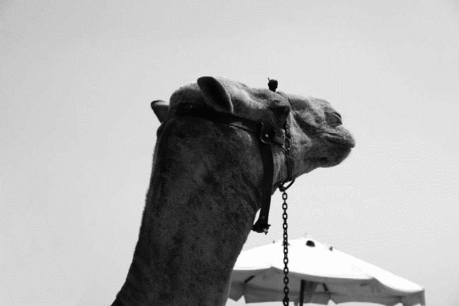 Работа, деньги и любовь. Путеводитель по самореализации Работа, деньги и любовь. Путеводитель по самореализации