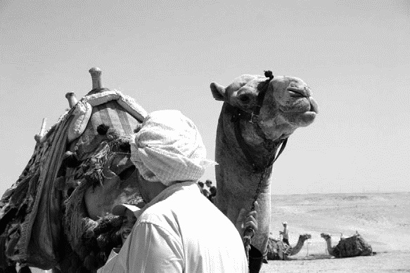 Работа, деньги и любовь. Путеводитель по самореализации