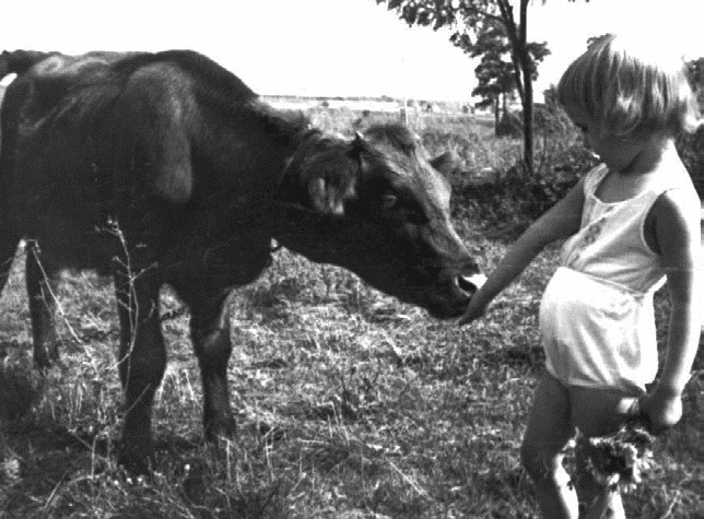 Работа, деньги и любовь. Путеводитель по самореализации