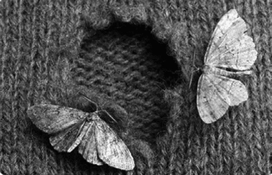 Работа, деньги и любовь. Путеводитель по самореализации