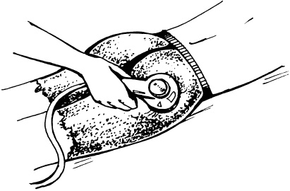 Уход за телом. Краткая энциклопедия