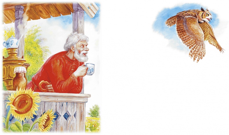 Приключения Муравьишки Приключения Муравьишки