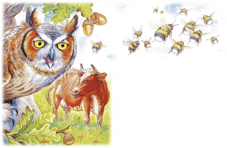 Приключения Муравьишки Приключения Муравьишки