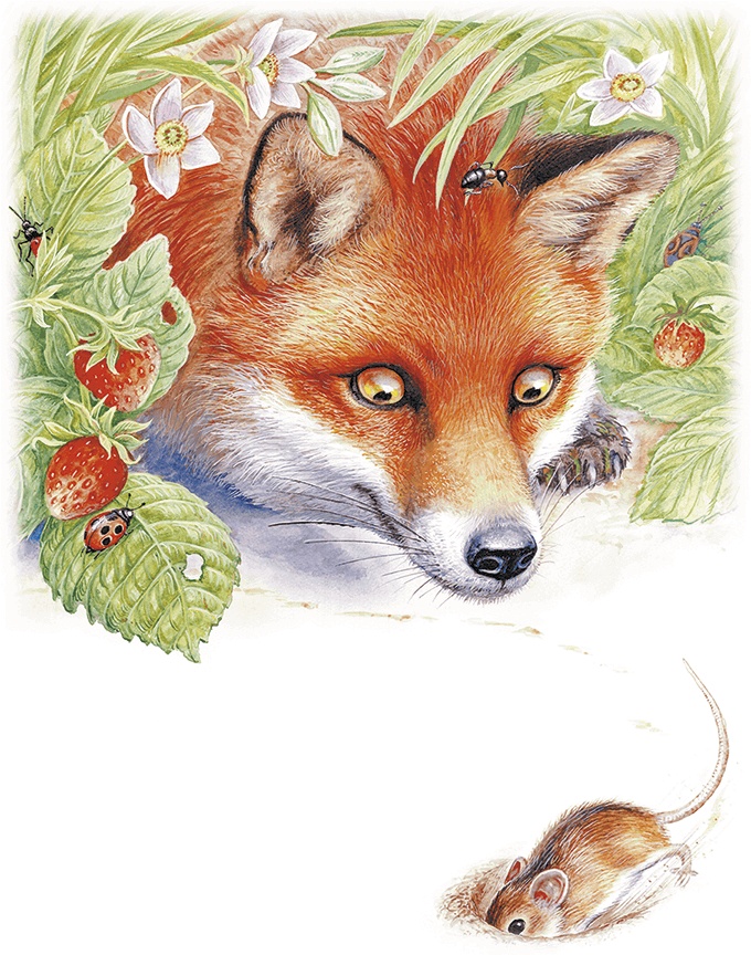 Приключения Муравьишки Приключения Муравьишки