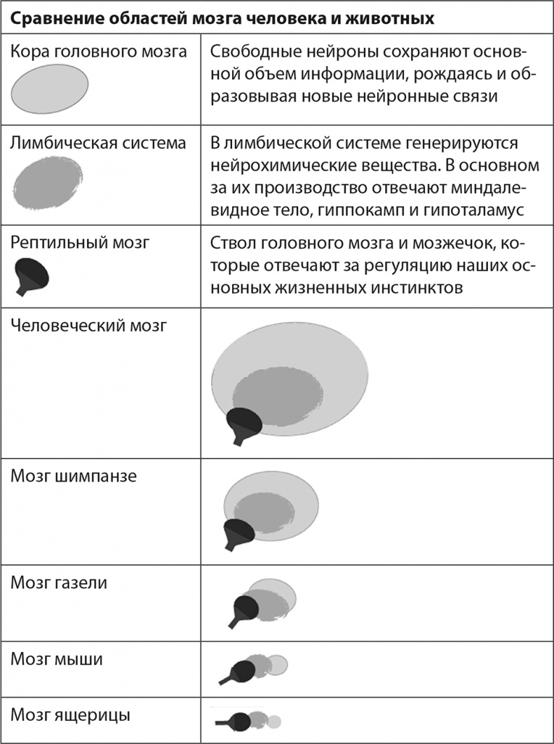 Гормоны счастья. Как приучить мозг вырабатывать серотонин, дофамин, эндорфин и окситоцин Гормоны счастья. Как приучить мозг вырабатывать серотонин, дофамин, эндорфин и окситоцин