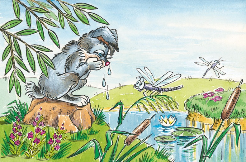 Как Прошка друга искал и другие сказки Как Прошка друга искал и другие сказки