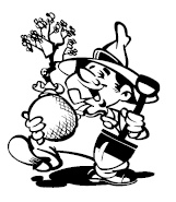 Декоративные кустарники Декоративные кустарники